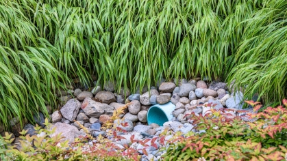 Image of a drain pipe, surrounded by rocks and grass