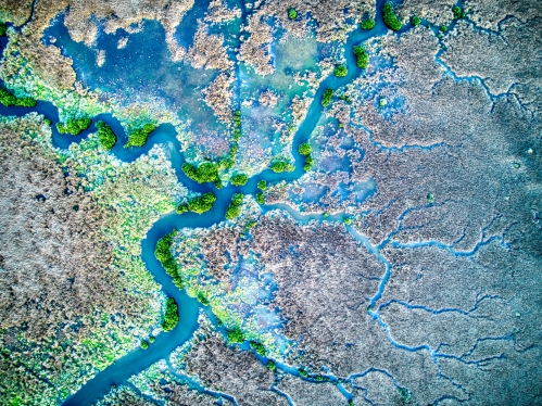 Aerial shot of waterways in colors blue and green.