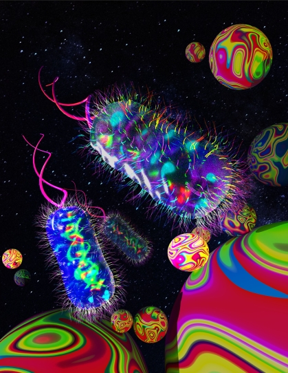 Colorful bacterial cells trapped in a 3D microbead matrix 