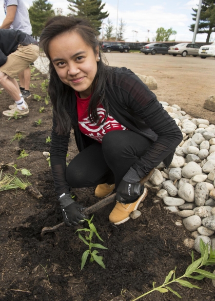 Young woman with long brown hair planting vegetation. 