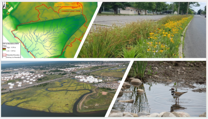 Four photos in one image showing wetlands, rain garden, and a water map.