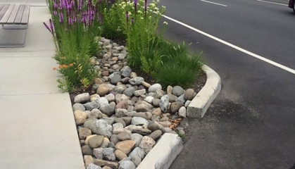 A curb rain garden featuring plants and rocks